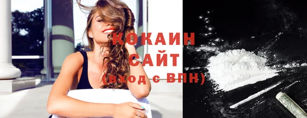 эйфоретик Ельня