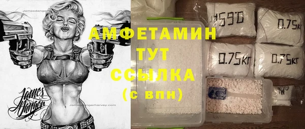 эйфоретик Ельня