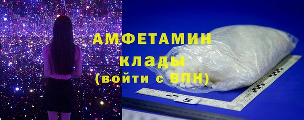 эйфоретик Ельня