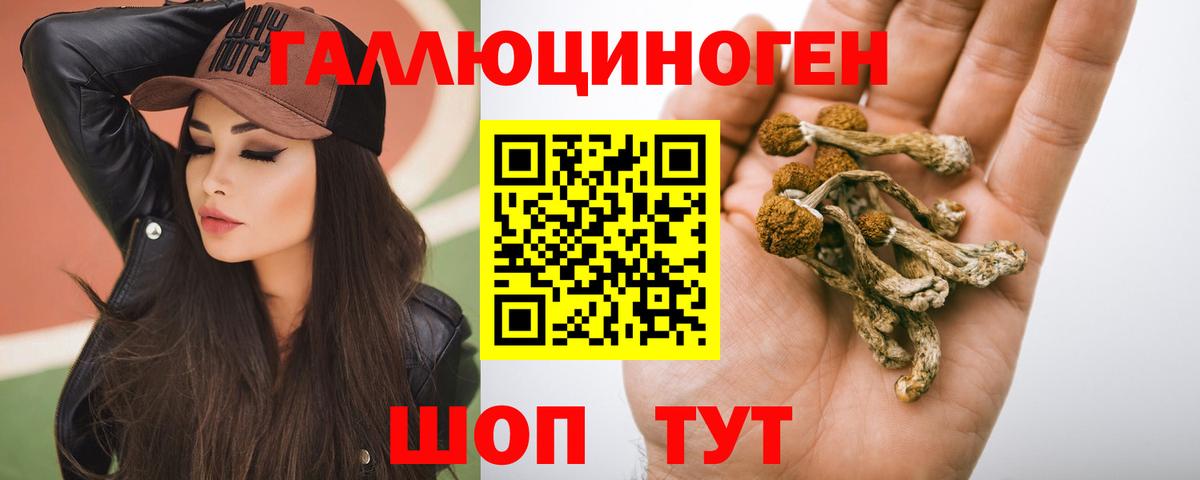купить наркоту  Вход с VPN  Майкоп  Галлюциногенные грибы GOLDEN TEACHER 
