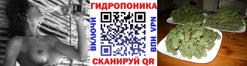 Каннабис OG Kush  хочу наркоту  Майкоп 